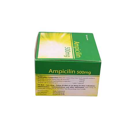 Ampicilin 500mg H/10vỉ x10viên Hataphar