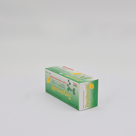 Terpincold H/6 vỉ x 15 viên Hataphar