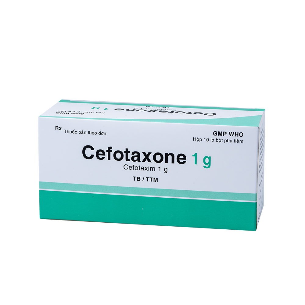 Cefotaxone 1g Hộp 10 Lọ BIDIPHAR