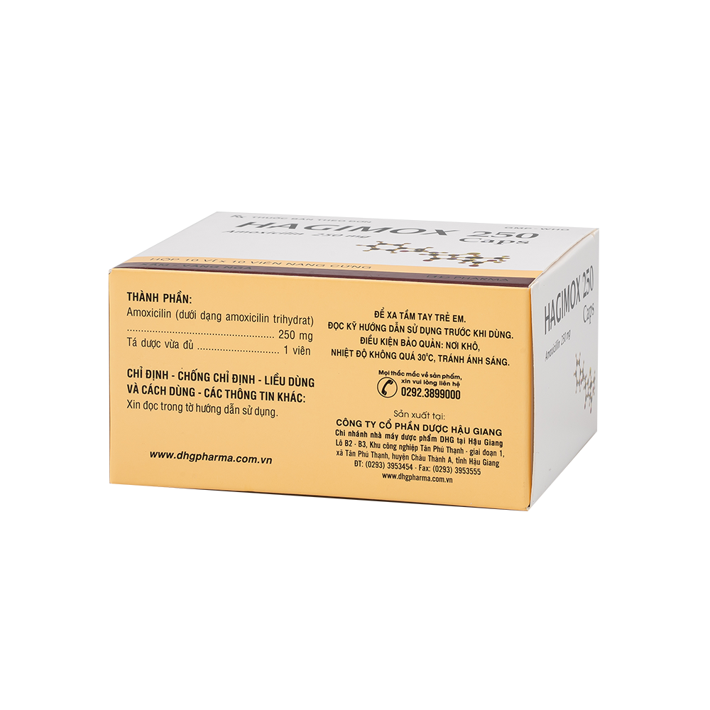 Hagimox 250 Caps Hộp 10 vỉ x 10 viên DHG