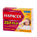 Hapacol 250 Flu Hộp 24 gói x 1,5g DHG