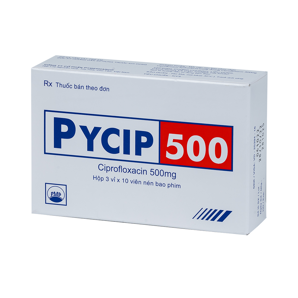 PYCIP 500