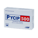 PYCIP 500
