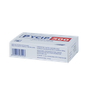 PYCIP 500