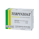 Terpinzoat hạt Hộp 10 vỉ x 10 viên TV.Pharm