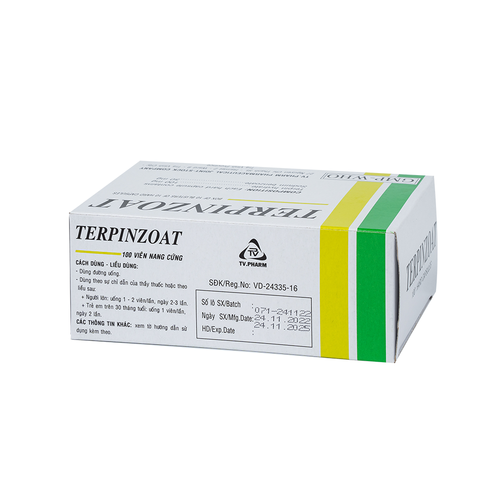 Terpinzoat hạt Hộp 10 vỉ x 10 viên TV.Pharm