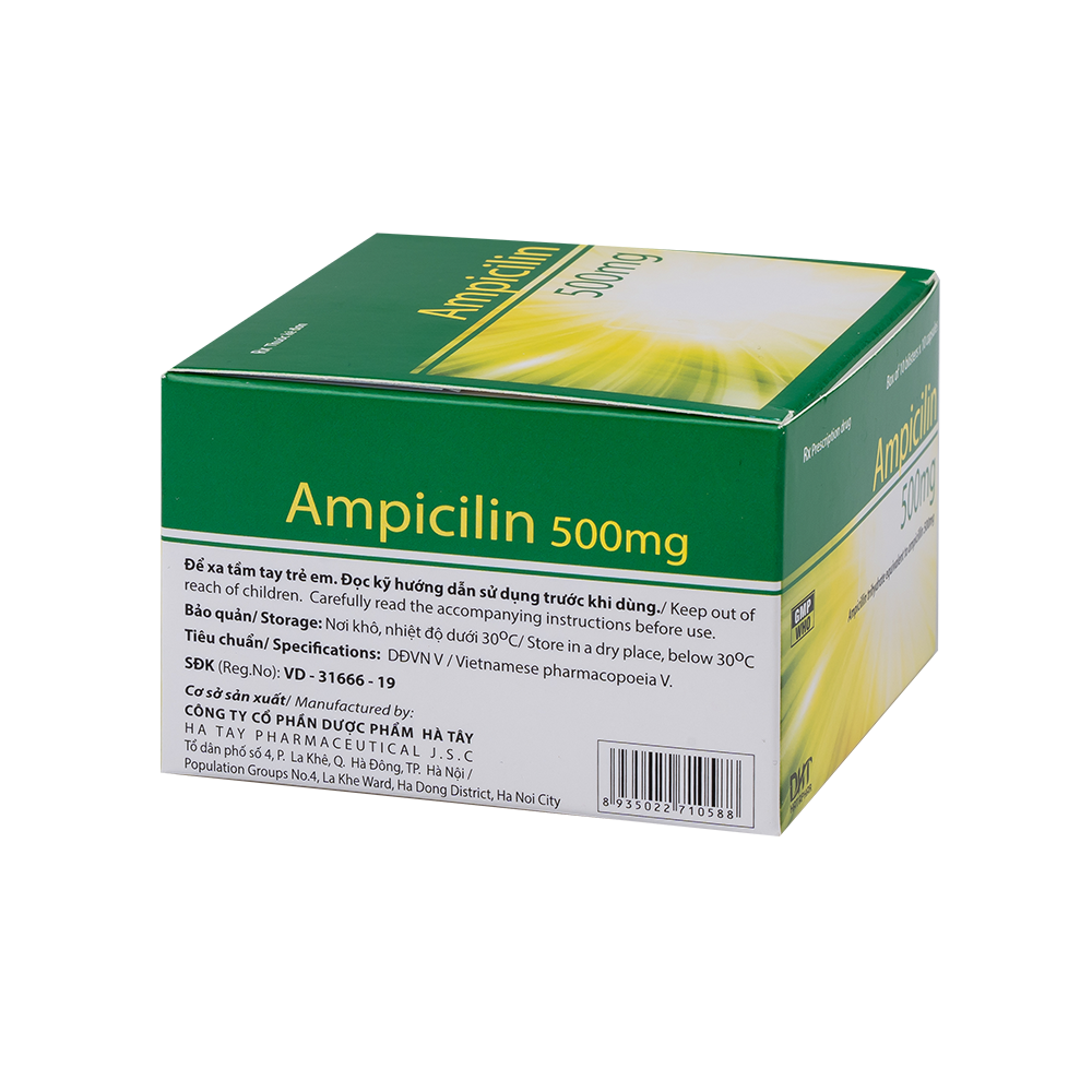 Ampicillin 500 mg Hộp 10 vỉ x 10 viên  Hataphar
