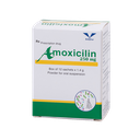 Amoxicilin 250mg H/12 gói Hộp 12 Gói Bidiphar