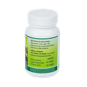 Thuốc trị sỏi thận KIM TIỀN THẢO (Chai 100BĐ)