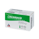 LINCOMYCIN Hộp 10 vỉ x 10 viên VINPHACO