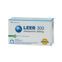 LEER 300