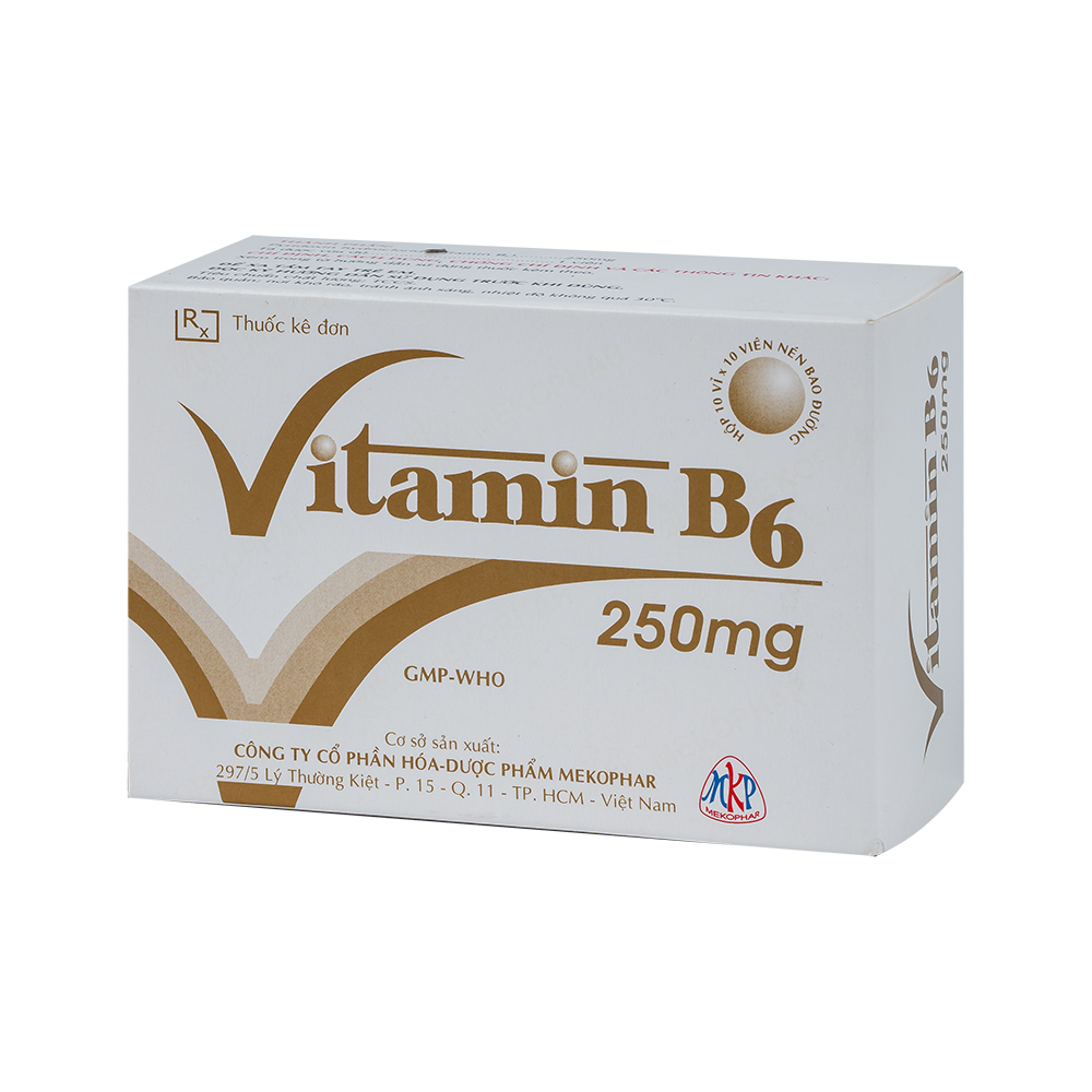 VITAMIN B6 250mg (H/100VBĐ)