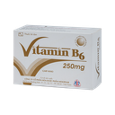 VITAMIN B6 250mg (H/100VBĐ)