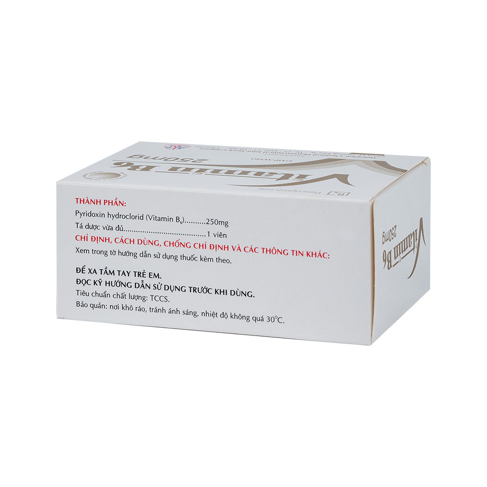 VITAMIN B6 250mg (H/100VBĐ)