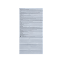 GLOTADOL FLU FCT/ box 10 x 10's ABBOTT