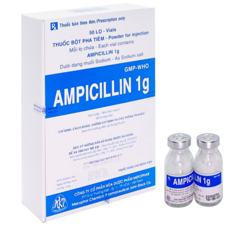 AMPICILLIN 1g (TIÊM)