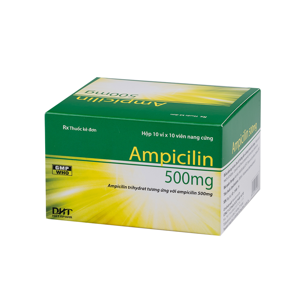 Ampicillin 500 mg Hộp 10 vỉ x 10 viên  Hataphar