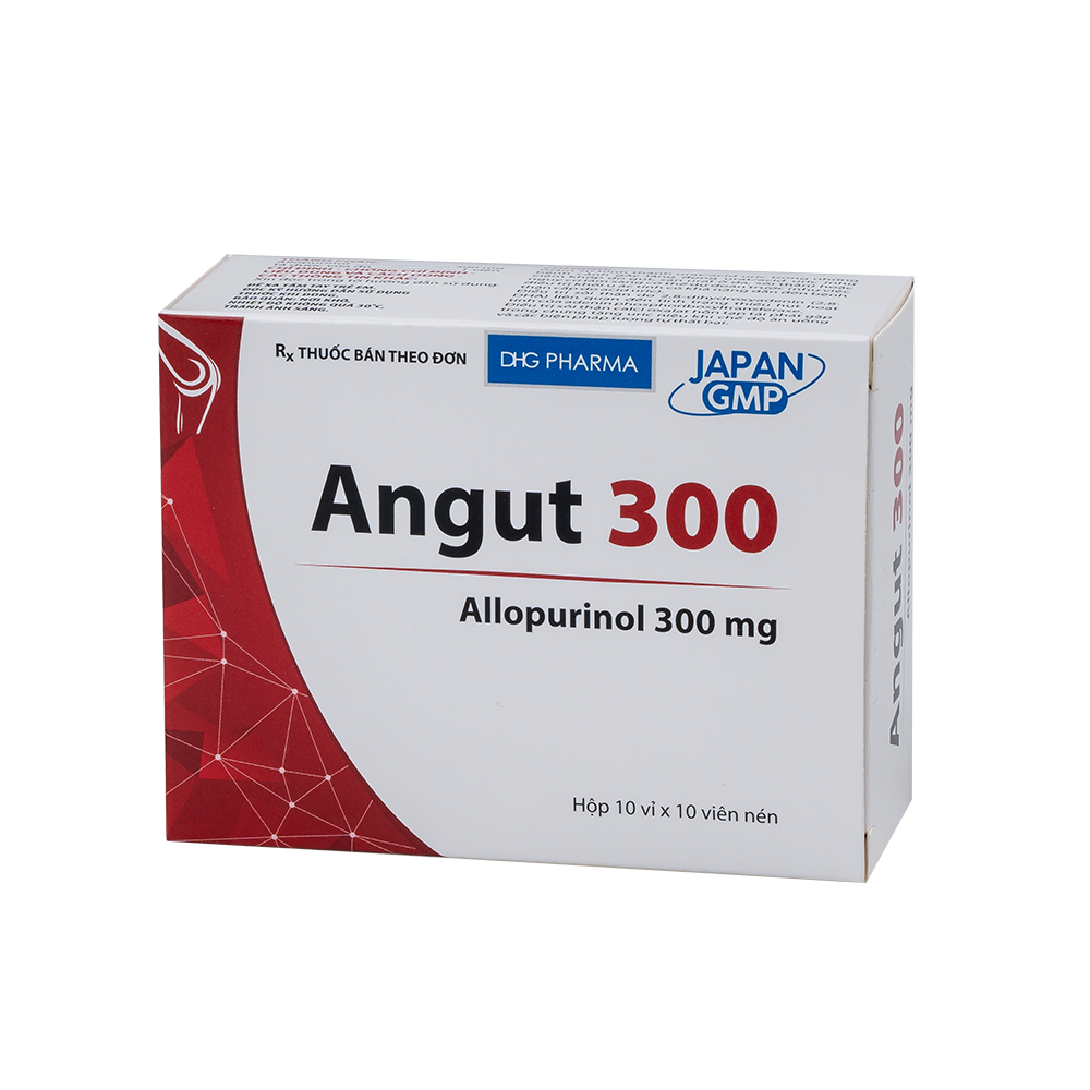 Angut 300 Hộp 10 vỉ x 10 viên DHG