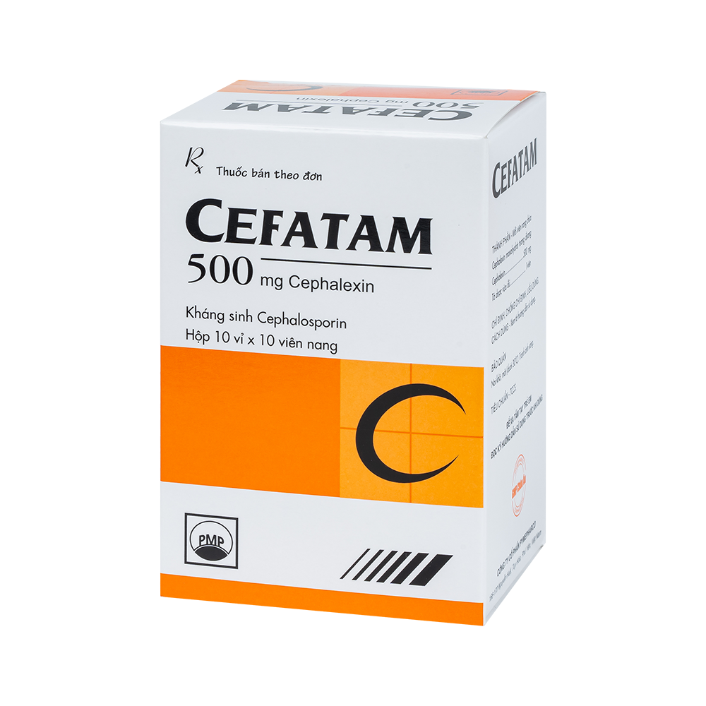 CEFATAM 500