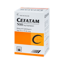 CEFATAM 500