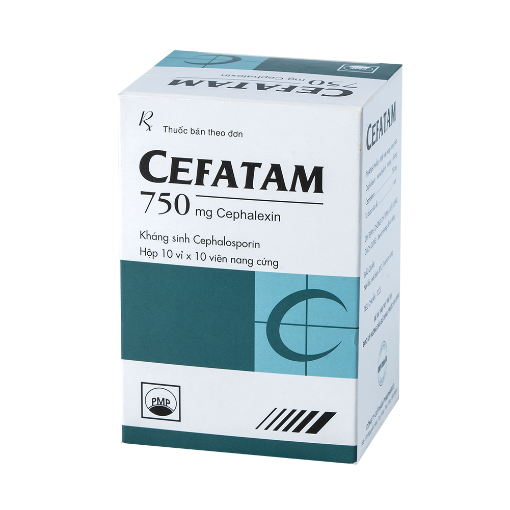 CEFATAM 750