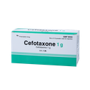 Cefotaxone 1g Hộp 10 Lọ BIDIPHAR