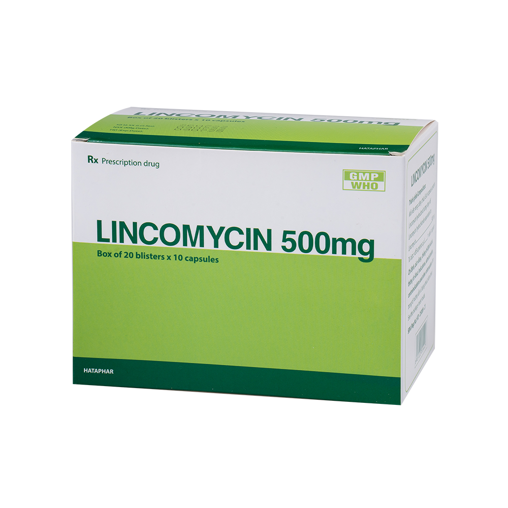 Lincomycin 500mg Hộp 20 vỉ x 10 viên  Hataphar