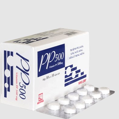 PP 500 Hộp 10 vỉ x 10 viên