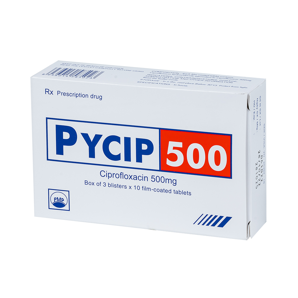PYCIP 500