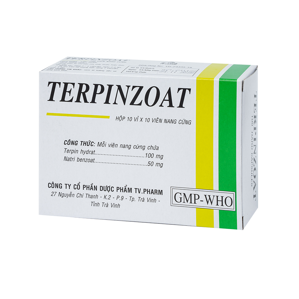 Terpinzoat hạt Hộp 10 vỉ x 10 viên TV.Pharm