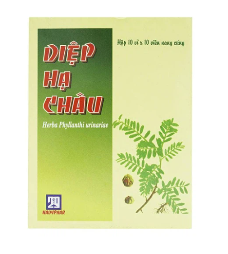 TPBVSK DIỆP HẠ CHÂU   
(Hộp 10 vỉ x 10 viên)