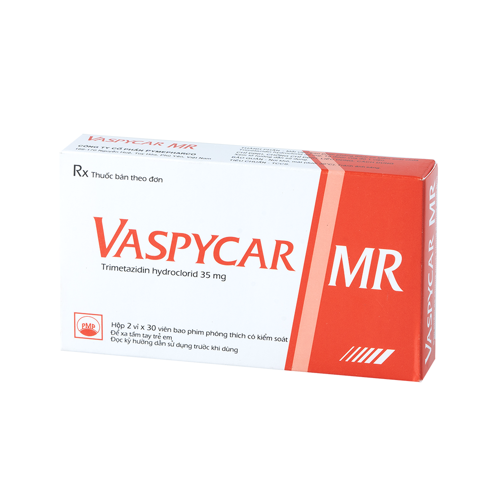 VASPYCAR MR
