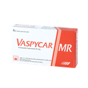 VASPYCAR MR