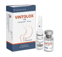 VINTOLOX Hộp 1 lọ BĐK+ 1 DM VINPHACO