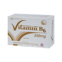 VITAMIN B6 250mg (H/100VBĐ)