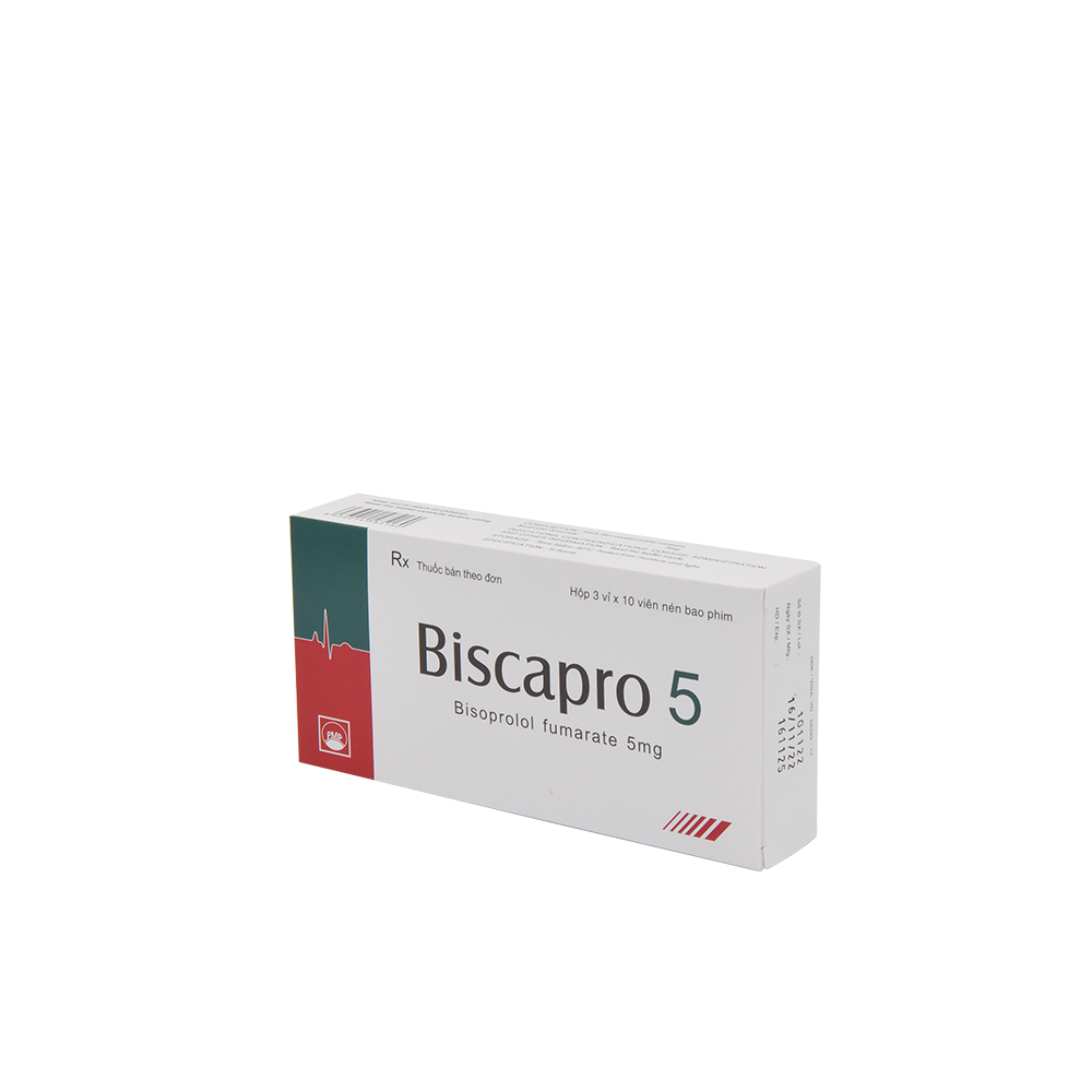 BISCAPRO 5